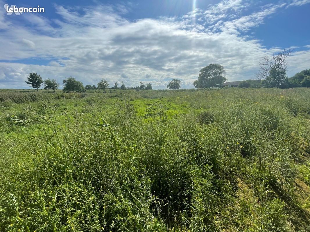 Terrain 1252 m² · à Sainte-Croix-sur-Mer · 1 252 m² · 125 800 €