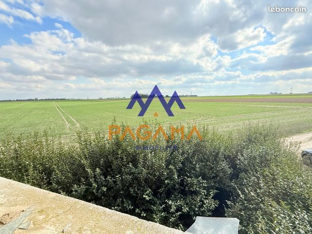 https://img.leboncoin.fr/api/v1/lbcpb1/images/53/31/32/533132c284e4fa11cb053e8051ce3ee3e35effc6.jpg?rule=ad-image