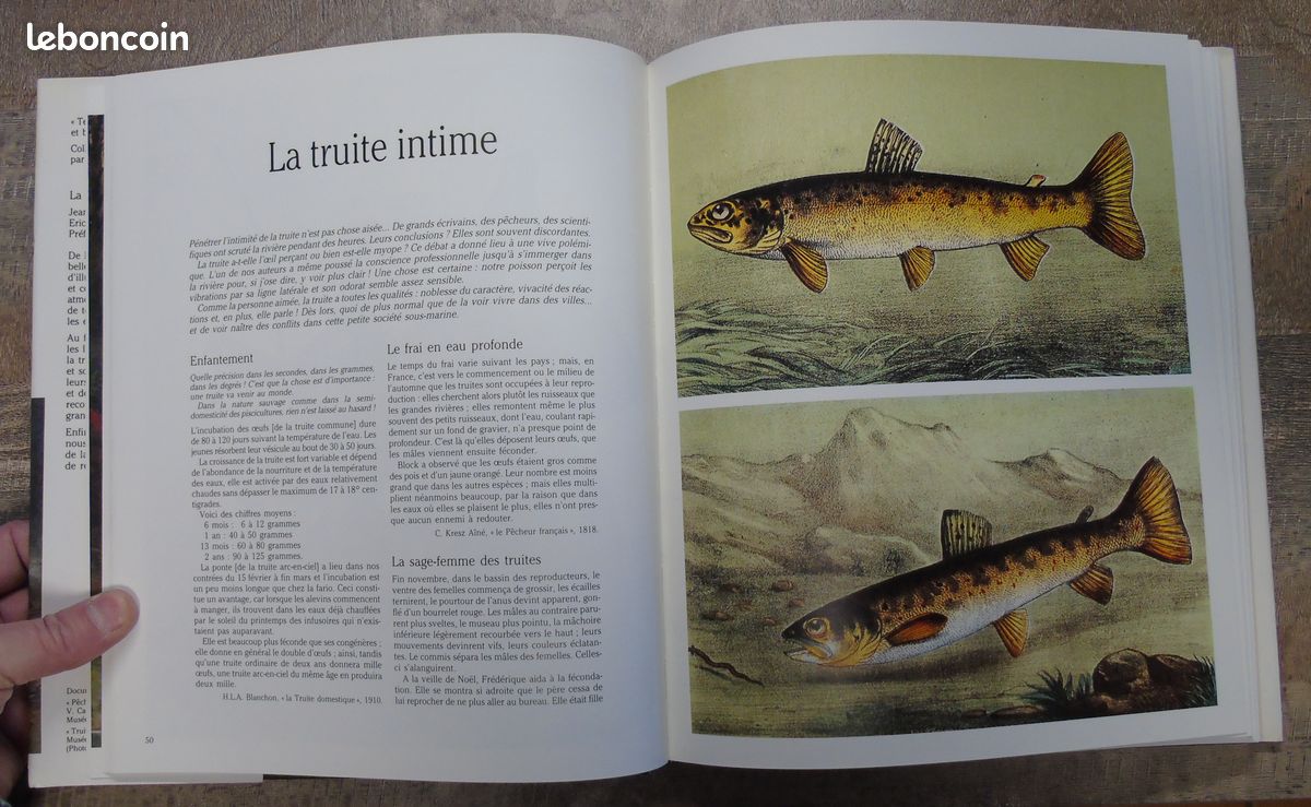Vieux Livre – La Pêche à La Truite Par M. Mermillon – Relié – 124 Pages – État Correct