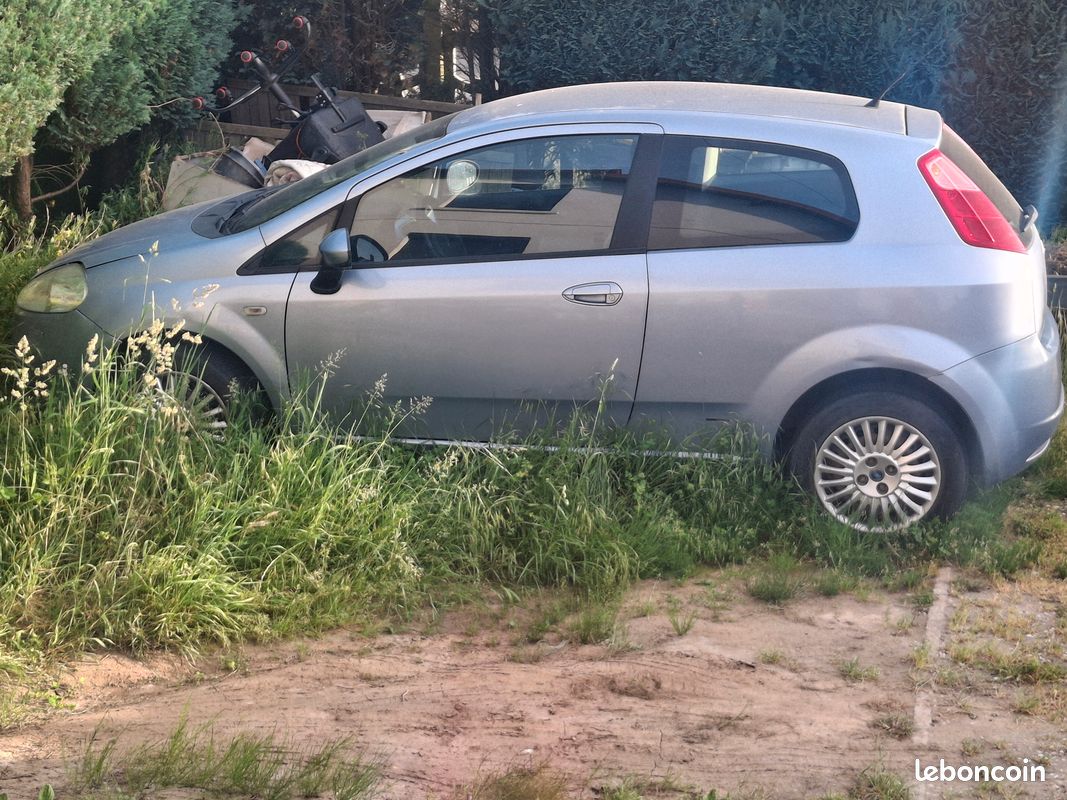 Fiat punto (image 1)