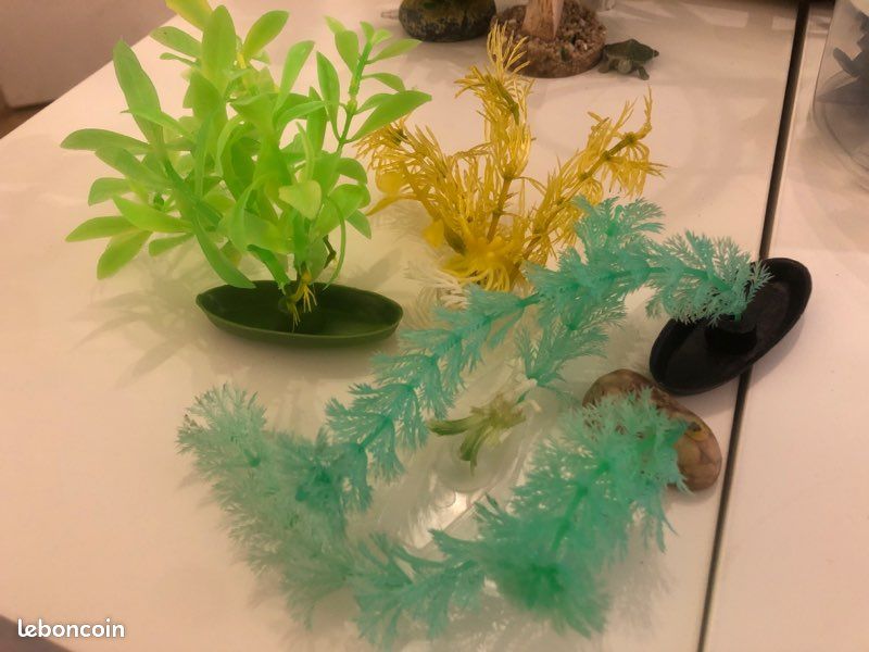 Ensemble de plantes décoratives pour aquarium (image 1)