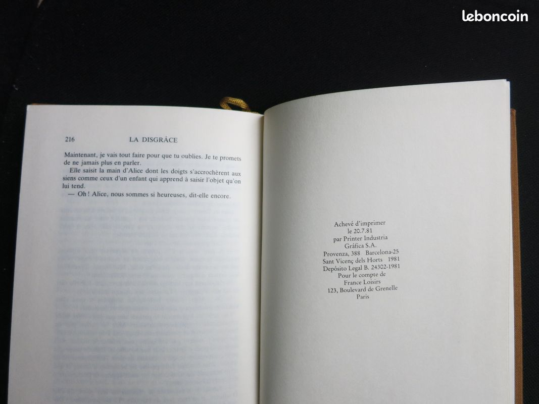 La Disgrâce - nicole avril (image 8)