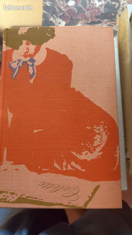 Coffret Oeuvres Colette 3 volumes illustrés Flammarion (image 4)