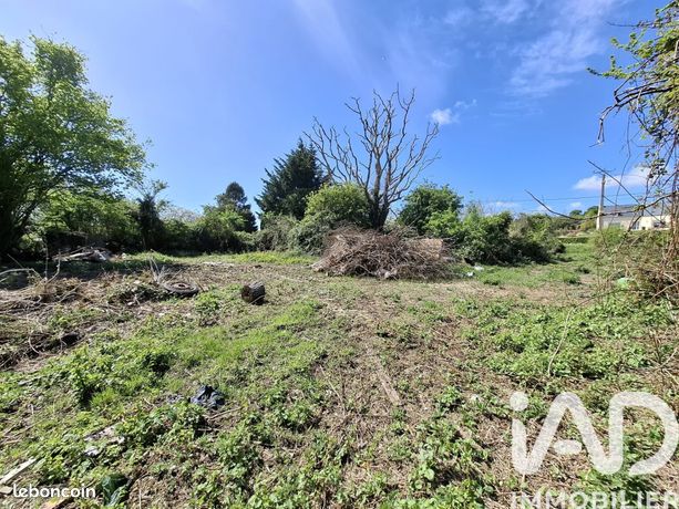Terrain 1532 m² Quettehou