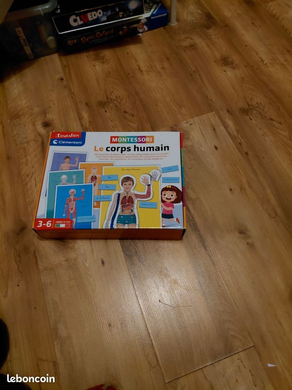 Montessori le corps humain (image 1)