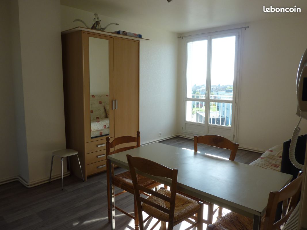 Appartement meublé F1 bis - Limoges 87100 (image principale 1)