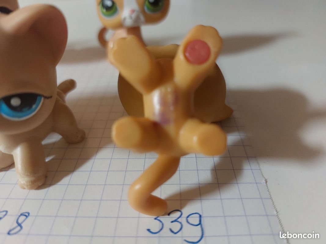 Figurine Littlest Pet Shop – Chat Européen N°816 – Hasbro – Occasion