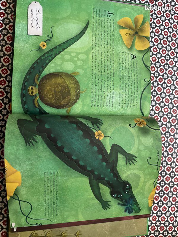 Gondwana livre (image 4)
