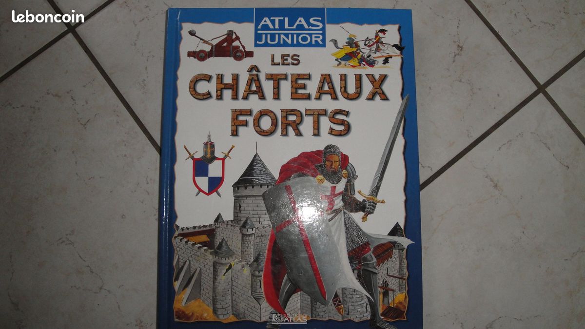 Livre les chateaux forts (image 1)