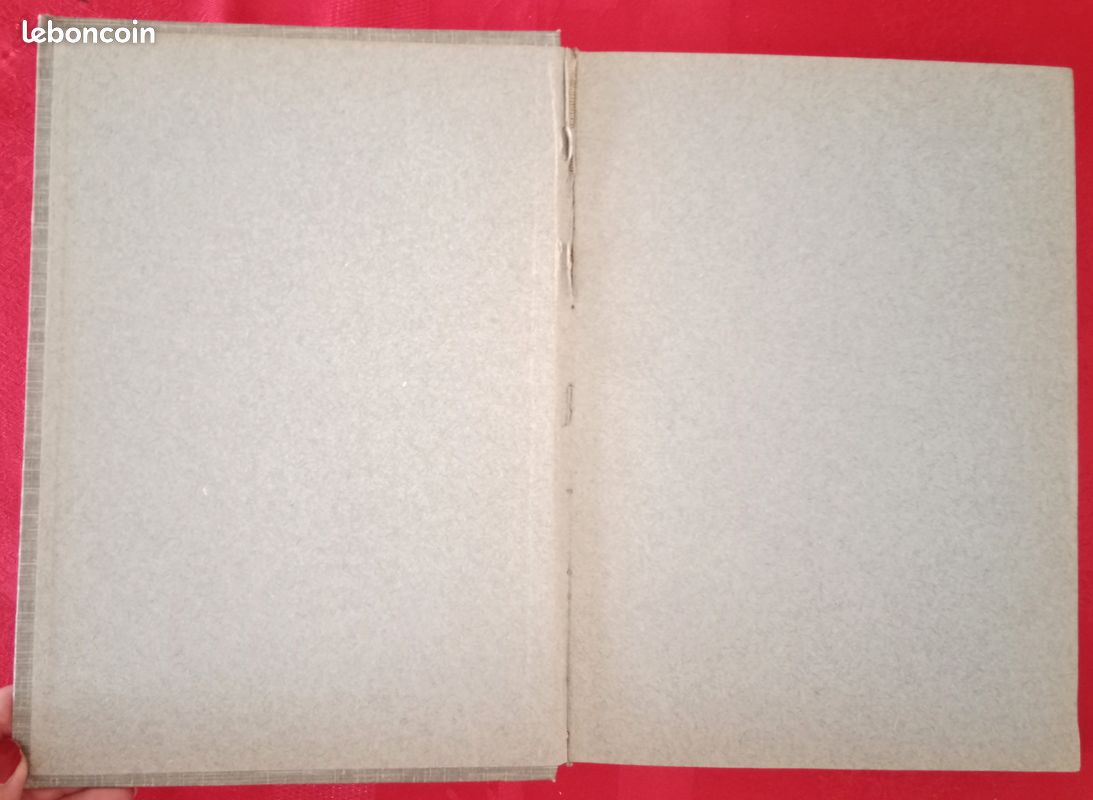 Alpinisme Club Alpin Suisse 1913 JAHRBUCH DES SCHWEIZER ALPENCLUB (image 5)