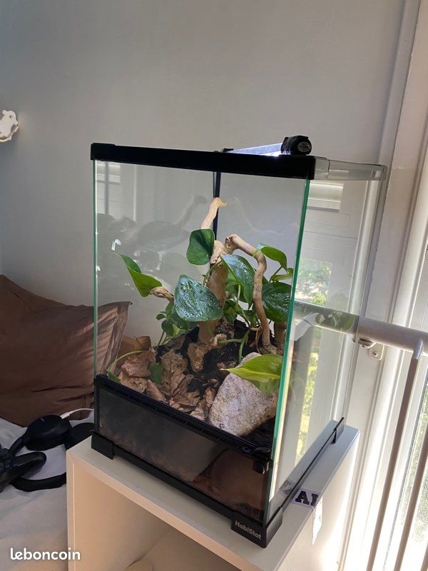 Terrarium Habistat 30x30x45 (image 1)