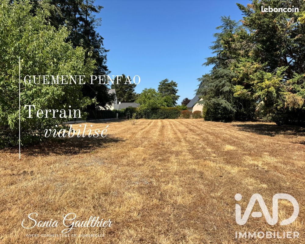 Terrain 1624 m² · à Guémené-Penfao · 1 624 m² · 98 000 €