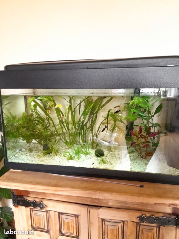 Aquarium 120 l excellent état (image 3)