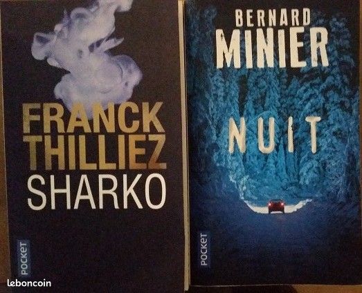 Polars, thrillers, policiers (image 2)