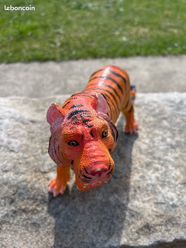 Tigre (image 2)