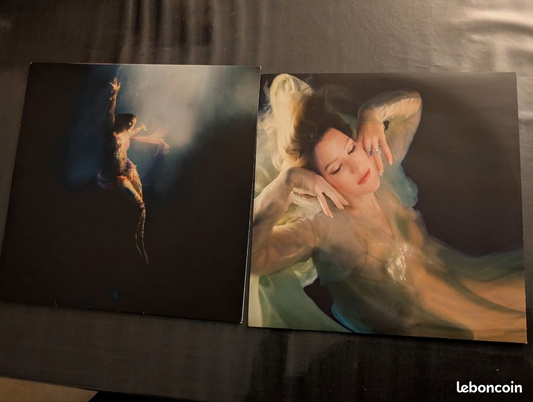 Vinyle 33tours Ellie Goulding " Higher than Heaven " (image 2)