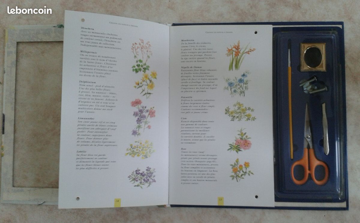 Livre atelier fleurs pressées Hatier (image 2)