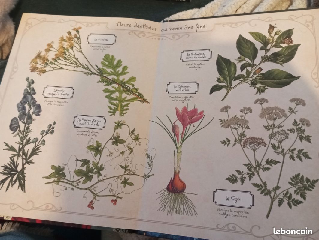 BD le jardin des fées t 1/2 (image 5)