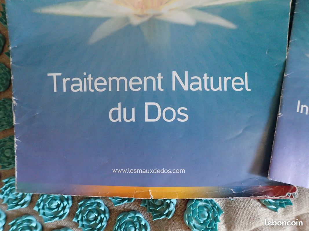 { 92100 } Set tapis + coussin Champ de Fleurs (image 2)