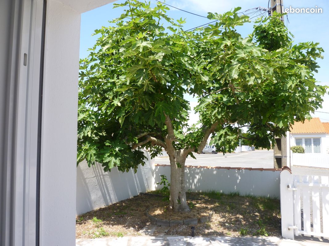 Au calme Appartement de deux pièces avec petit jardin privatif pour vos vacances (image 5)