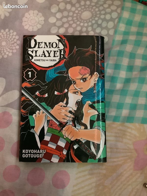 Livre démon slayer tome 1 (image 1)