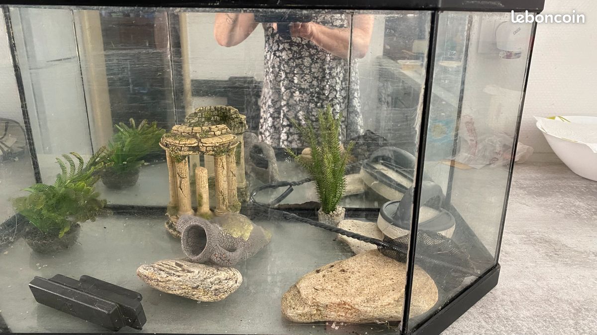 Aquarium (image 1)