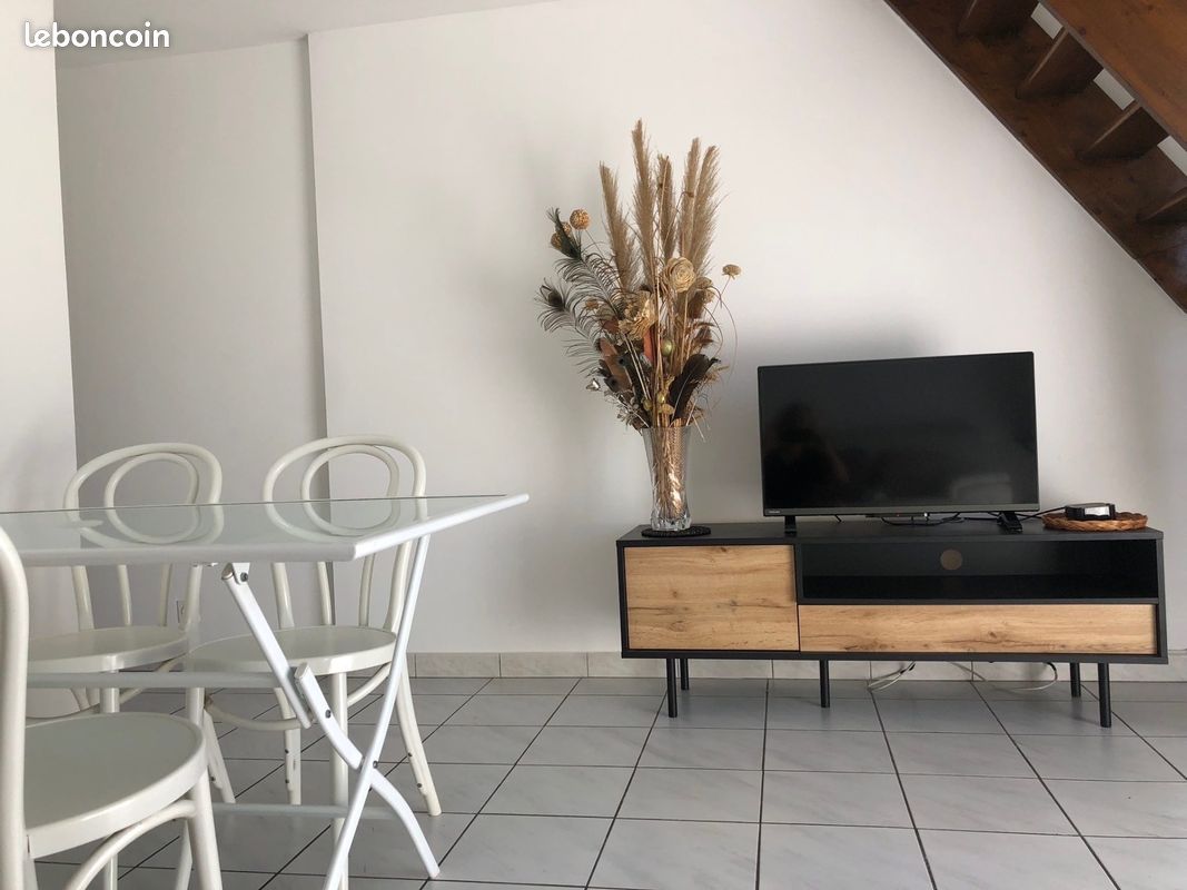Duplex 3 pièces 46 m² (image 4)