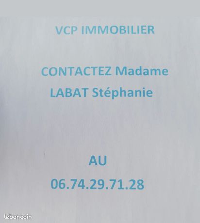 https://img.leboncoin.fr/api/v1/lbcpb1/images/53/af/6a/53af6a95618d3ea3c404868d2453e90d17e683fd.jpg?rule=ad-image