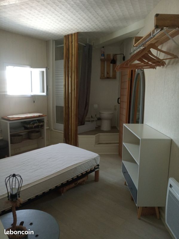 T1 hypercentre Gay-Lussac / Fac de droit - Limoges 87000 (image principale 2)