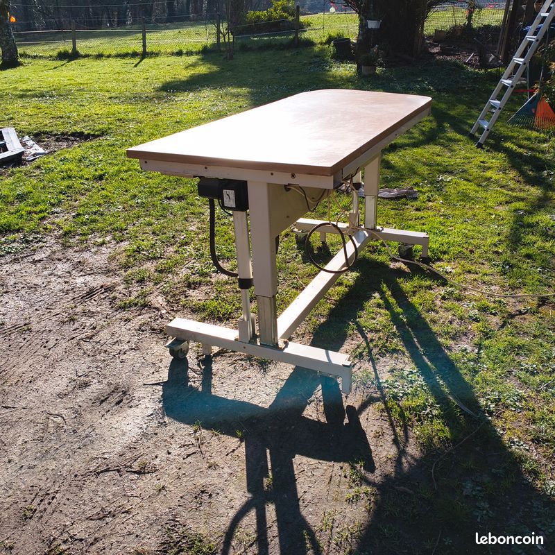 Établi table de travail (image 4)