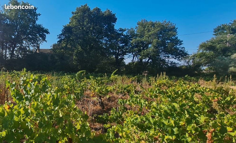 Terrain 557 m² Sainte Cecile Les Vignes · à Sainte-Cécile-les-Vignes · 117 000 €