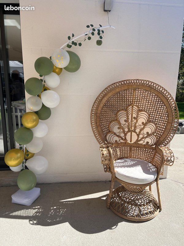 Location fauteuil Emmanuel (image 1)
