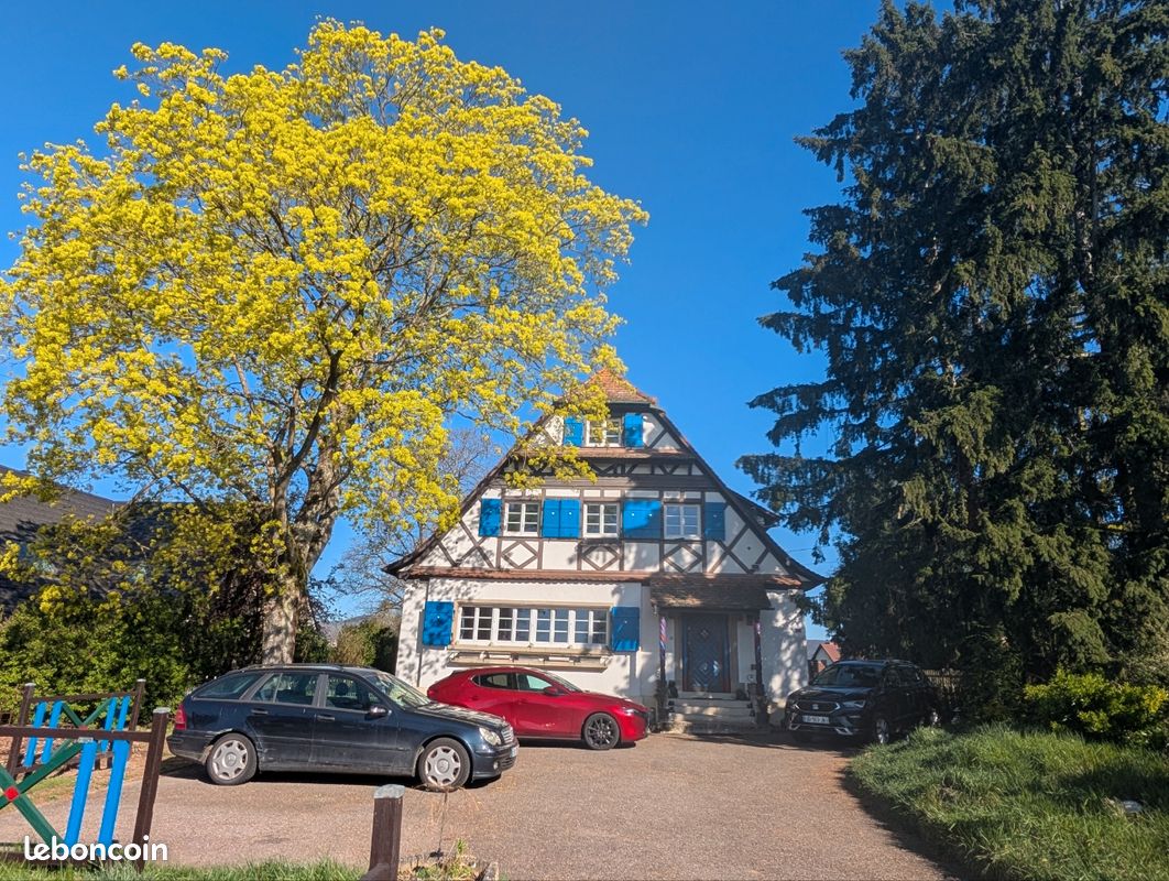 Maison 10 pièces 327 m2 (image 1)