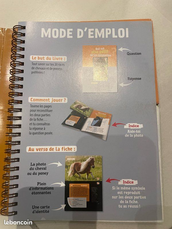 Livre Défi nature ; chevaux et poneys (image 3)