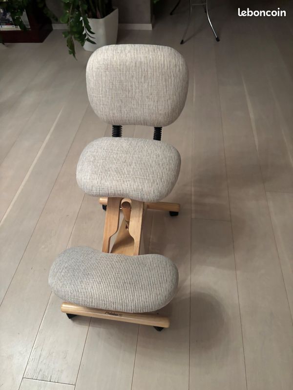 Chaise de bureau Assis Debout (image 1)