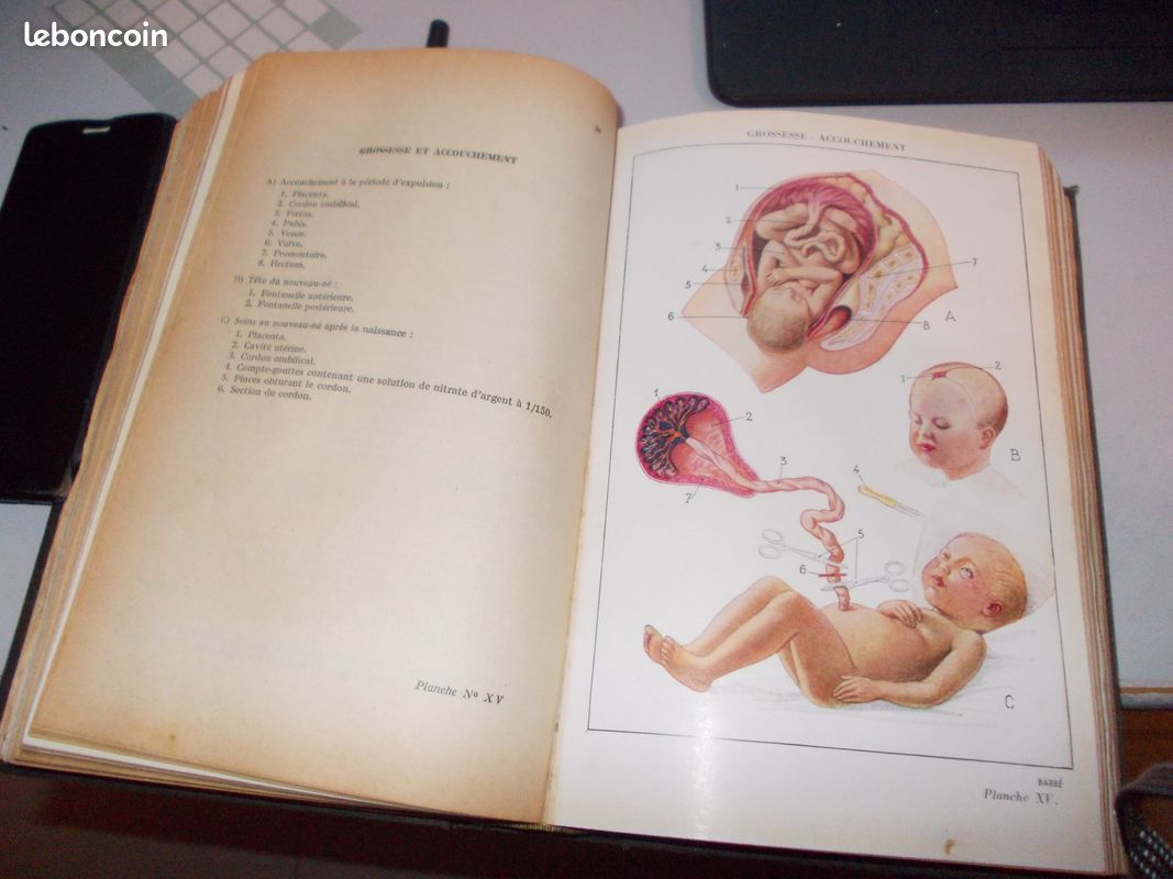 Dietetique hygiene et sante familiale (image 3)