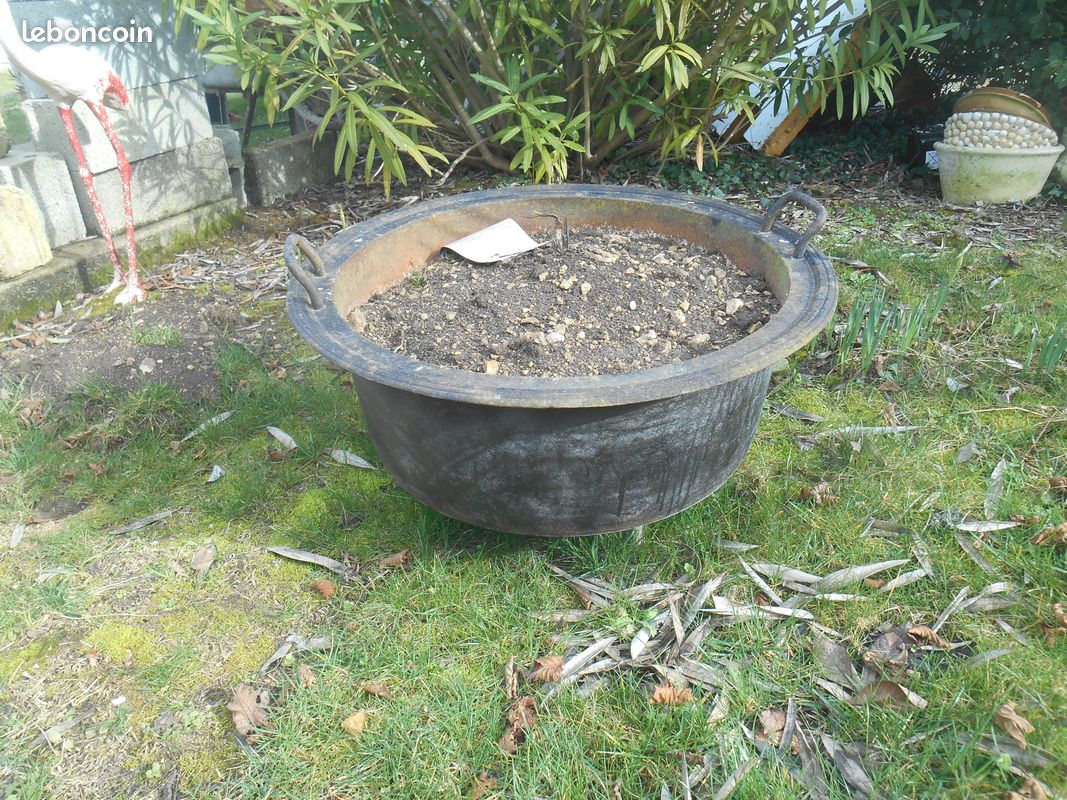 Poillone (image 1)