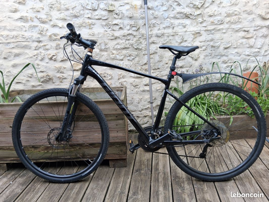 Giant roam d