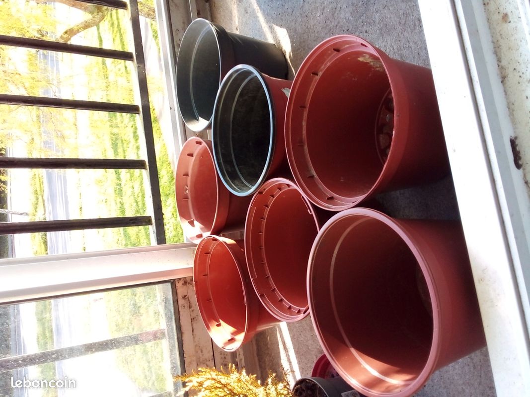 Pots pour plants en fibre de tourbe - Lot de 120, parfaits pour la