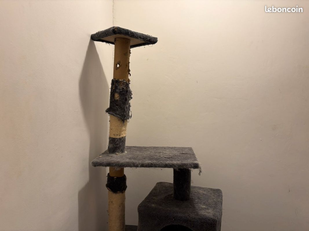 A donner arbre à chat (image 5)