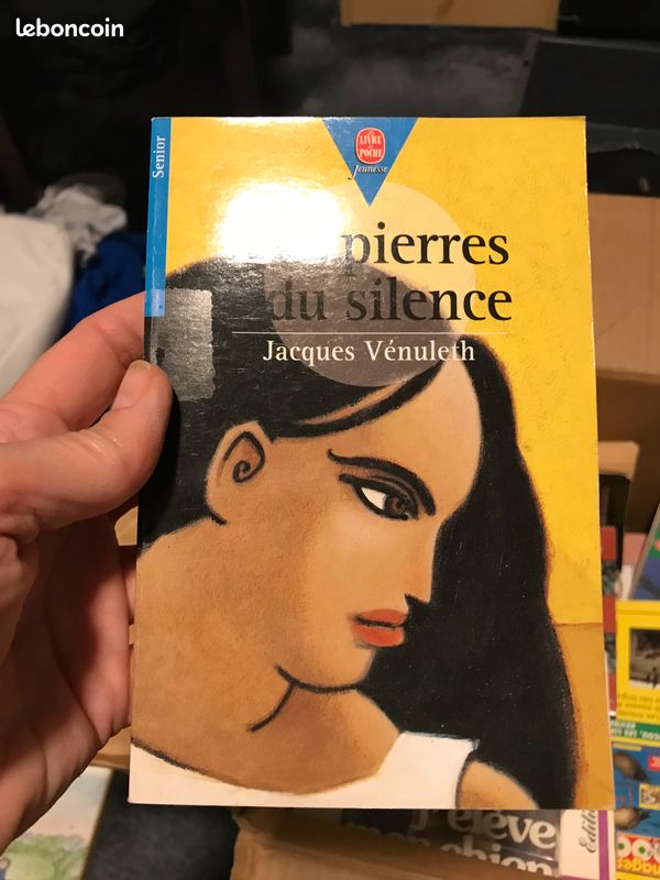 Les pierres du silence (image 1)
