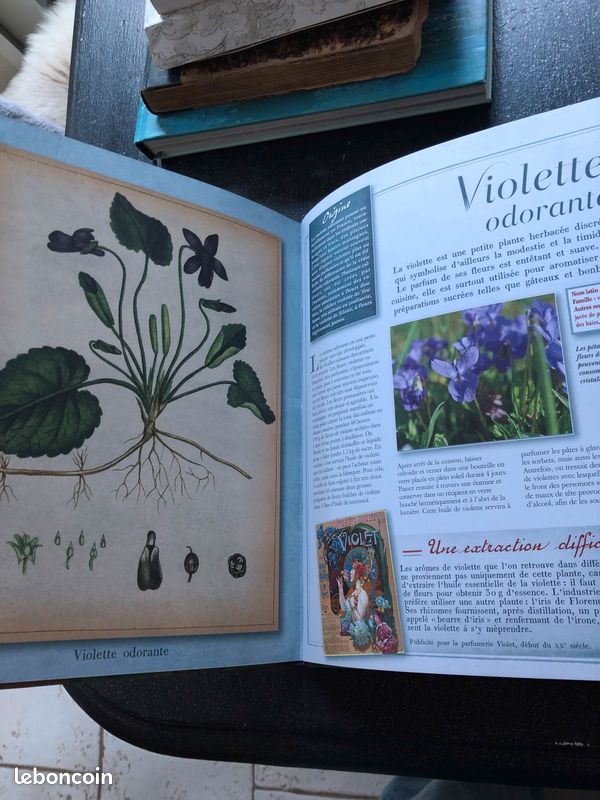 Les plantes aromatiques éditions Atlas (image 2)