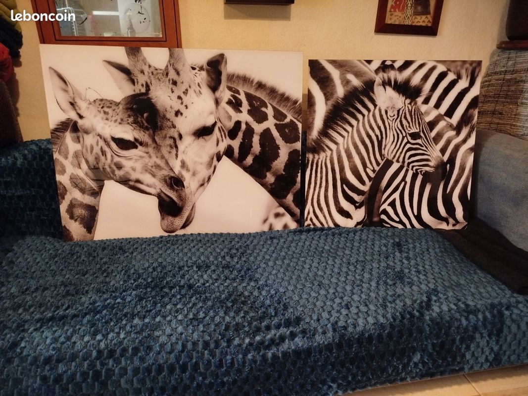 Tableau Zèbres et Girafes NB Plexiglas (image 1)