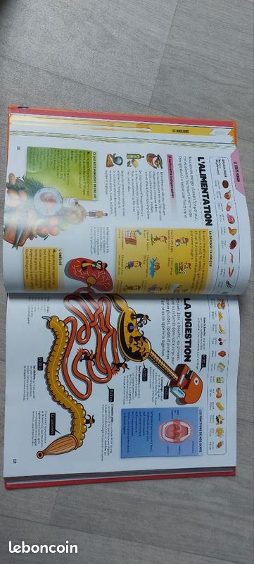 Mon encyclopédie dokeo 9/12 ans (image 3)