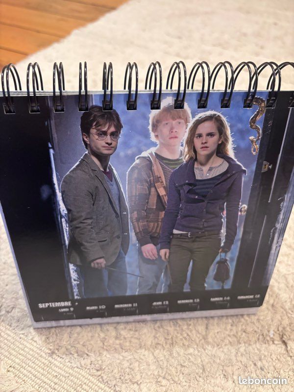 Calendrier 2024 Harry Potter à poser (image 3)