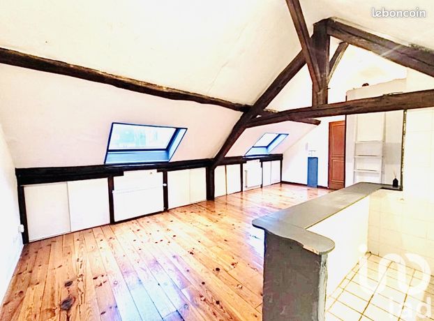 Loft 1 pièce 30 m²