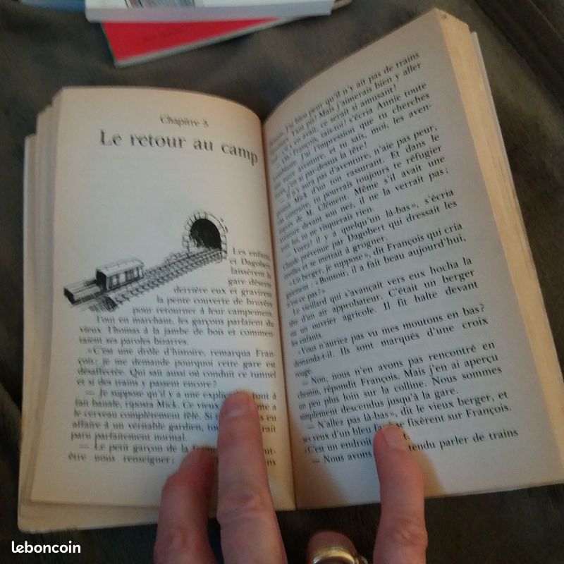 Le Club des cinq va camper (image 3)