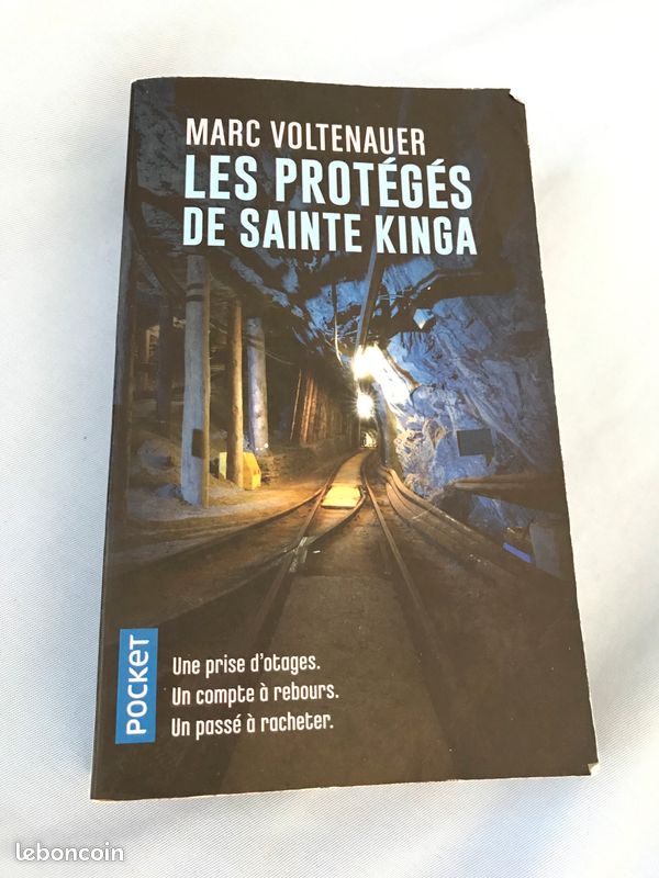 SP] J’ai Lu: Les Protégés De Sainte Kinga De Marc Voltenauer | - Blog Littéraire