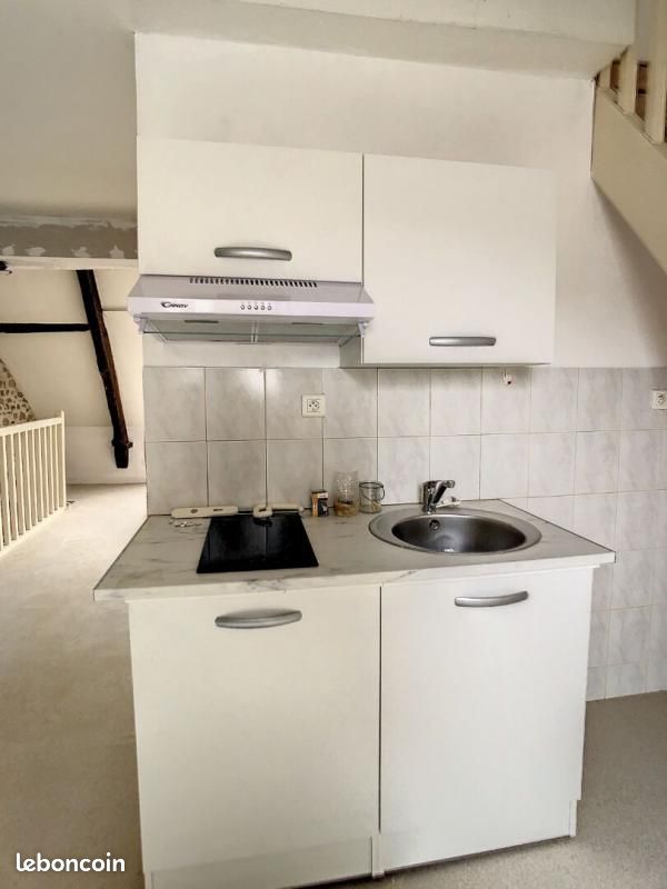 Appartement 1 pièce 33 m² - Sainte-Féréole 19270 (image principale 5)