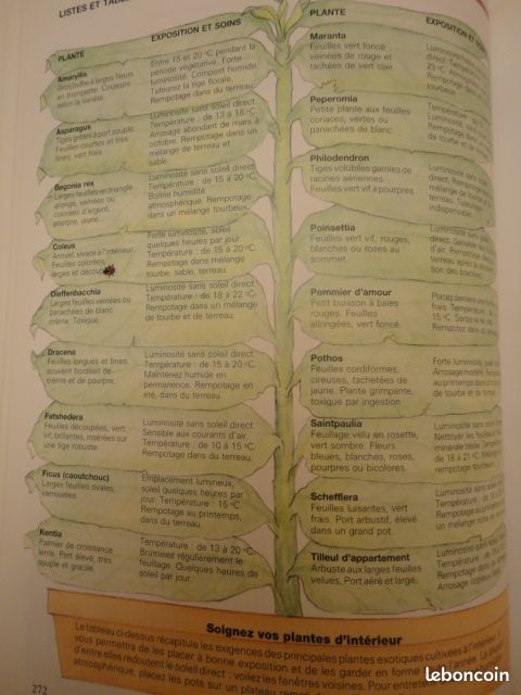 Le livre de l'Astucieux (image 7)